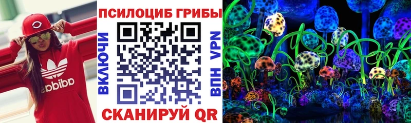 Галлюциногенные грибы Cubensis  купить  сайты  Бийск 