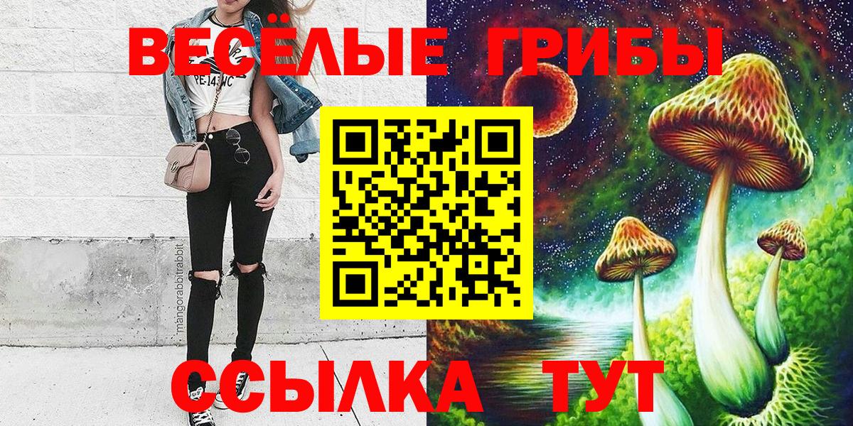 Псилоцибиновые грибы ЛСД Бийск
