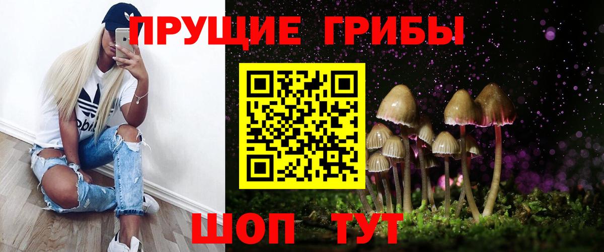 Псилоцибиновые грибы Psilocybine cubensis  Псилоцибиновые грибы Psilocybine cubensis  где можно купить   Бийск  Вход с VPN 