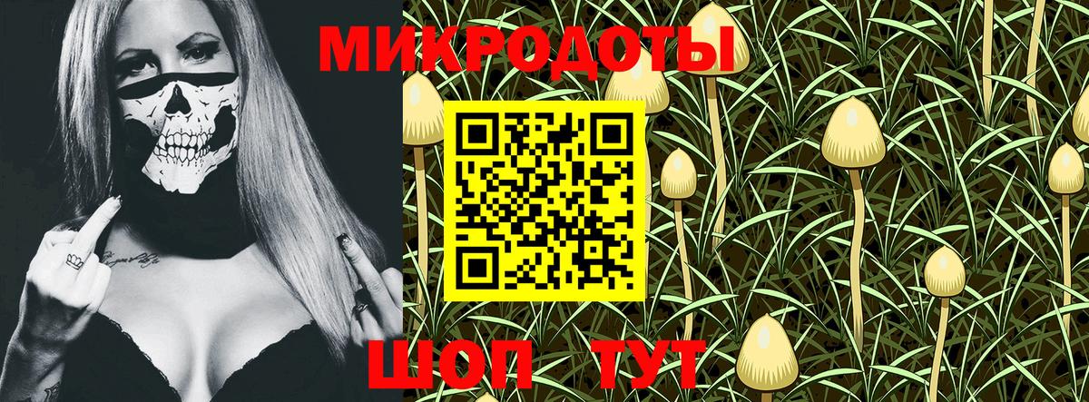 Галлюциногенные грибы прущие грибы Бийск