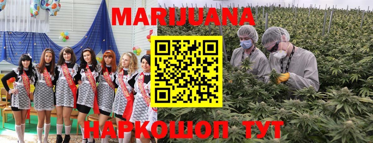 Бийск  Каннабис план  Вход с VPN  Каннабис тримм  Каннабис ГИДРОПОН 